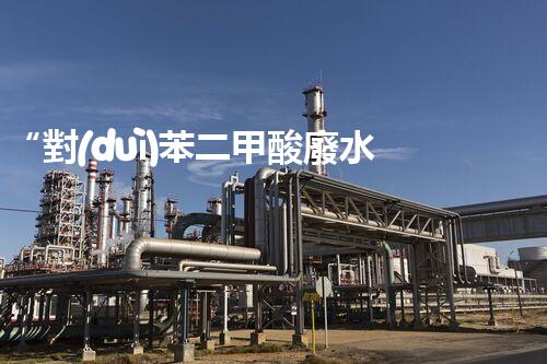 “對(duì)苯二甲酸廢水處理，綠色創(chuàng)新引領(lǐng)環(huán)保新篇章”